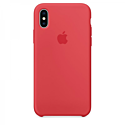 Cover iPhone Xs Raspberry Silicone Case (Copy)