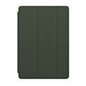 Smart Cover for iPad (9th generation) Cyprus Green (MGYR3)