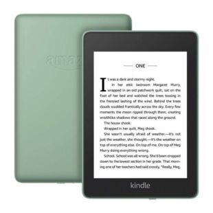 Amazon Kindle Paperwhite 10th Gen. 32GB (2018) Sage