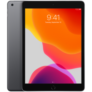 Apple iPad 10.2 Wi-Fi + LTE 32GB Space Gray 2019 (MW6W2-MW6A2)