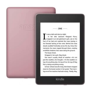 Amazon Kindle Paperwhite 10th Gen. 8GB (2018) Plum
