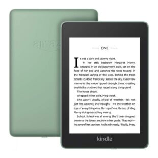 Amazon Kindle Paperwhite 10th Gen. 8GB (2018) Sage